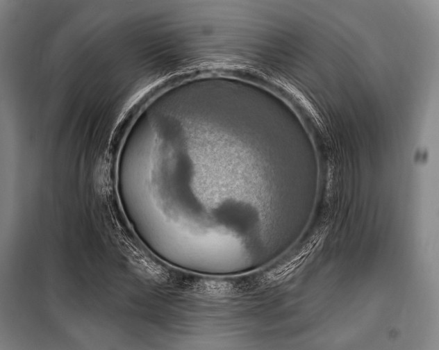 X0000101160878200806271007