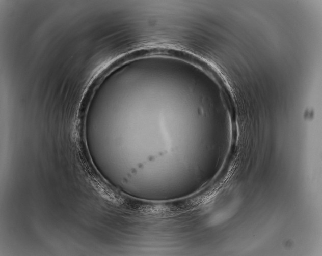 X0000101160879200806271007