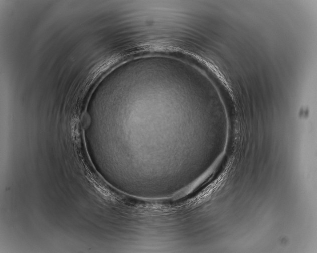 X0000101160881200806271007
