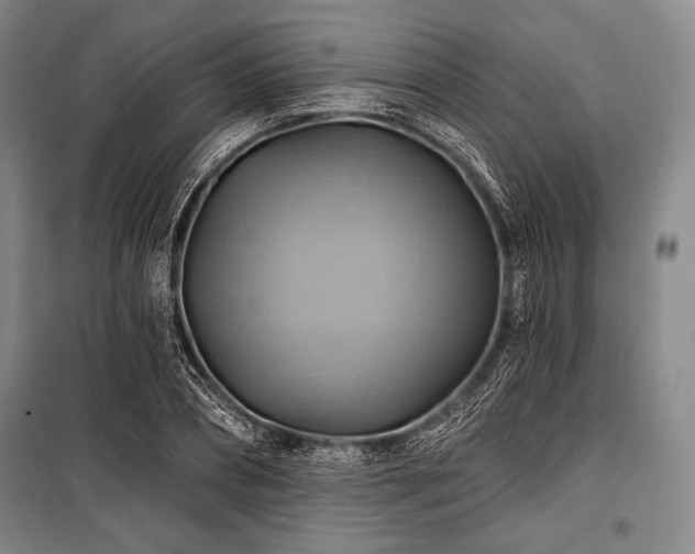 X0000101160882200806271007