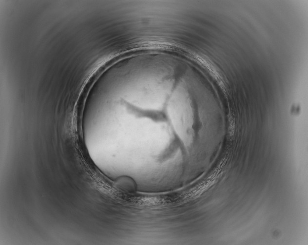 X0000101160883200806271007