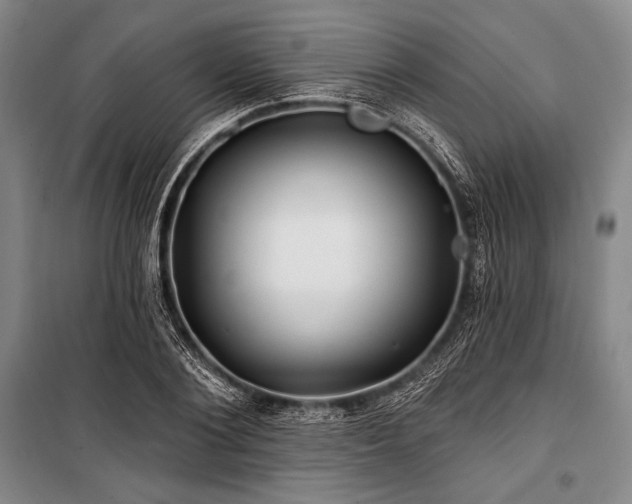 X0000101160884200806271007