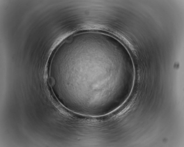 X0000101160885200806271007
