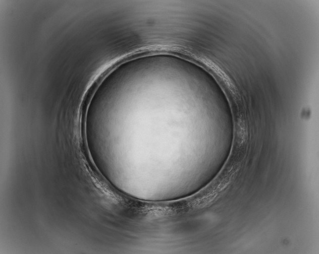 X0000101160886200806271007