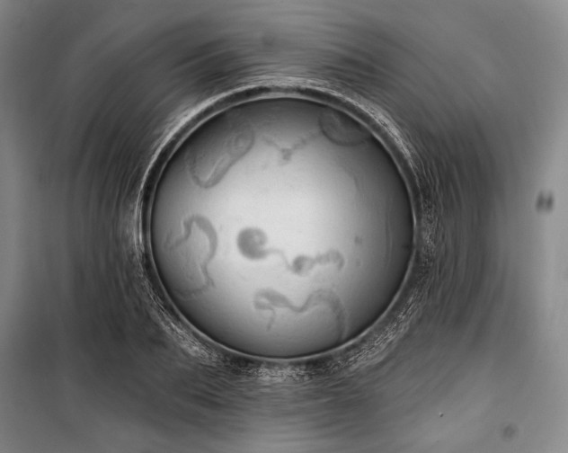 X0000101160887200806271007