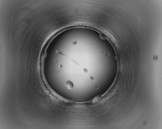 X0000101160888200806271007