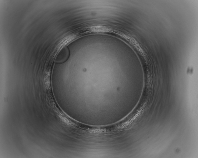X0000101160889200806271007