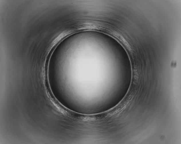 X0000101160890200806271007