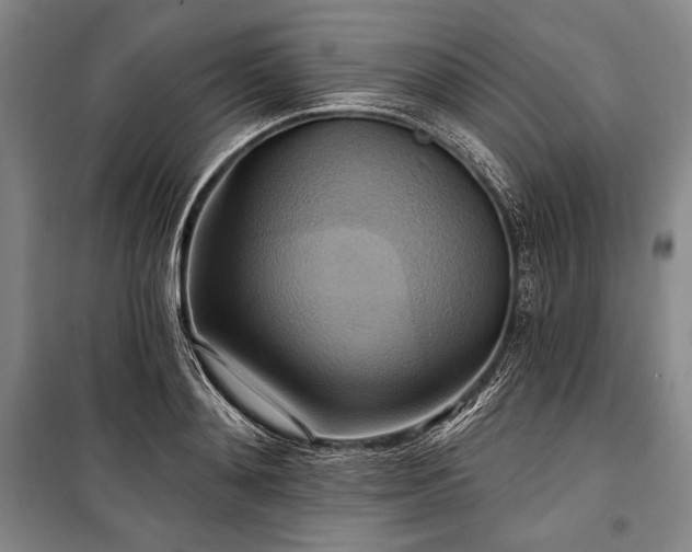 X0000101160892200806271007