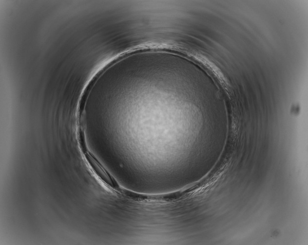 X0000101160894200806271007