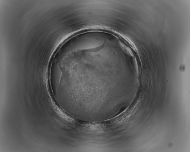 X0000101160895200806271007