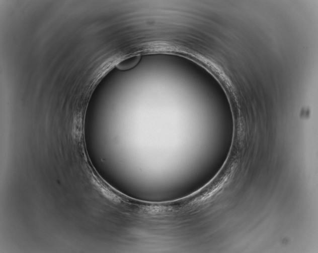 X0000101160897200806271007
