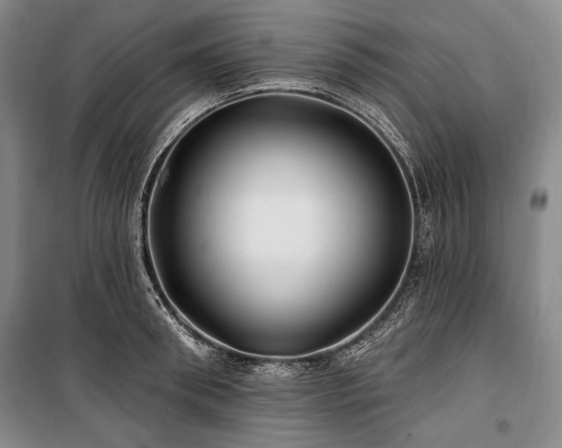 X0000101160898200806271007