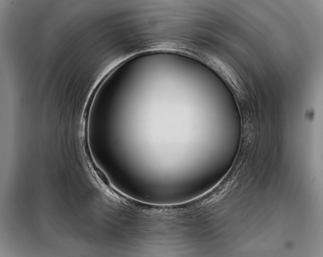 X0000101160900200806271007