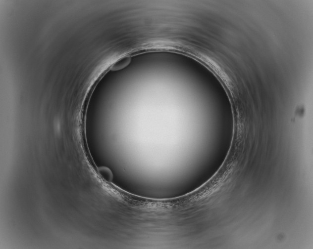 X0000101160901200806271007