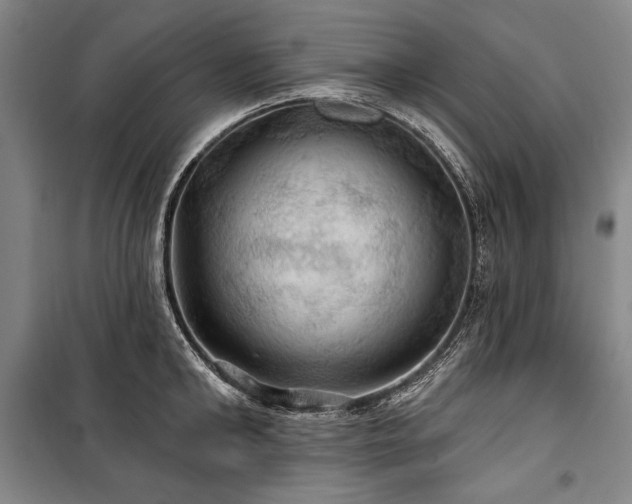 X0000101160902200806271007