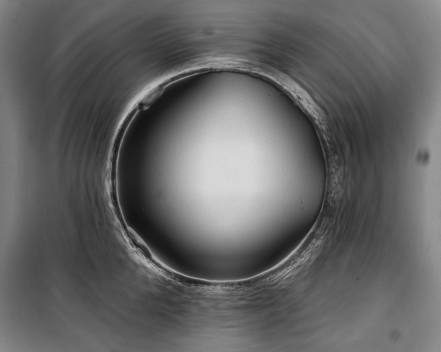 X0000101160904200806271007