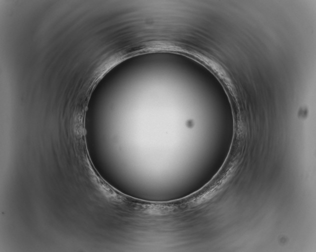 X0000101160905200806271006