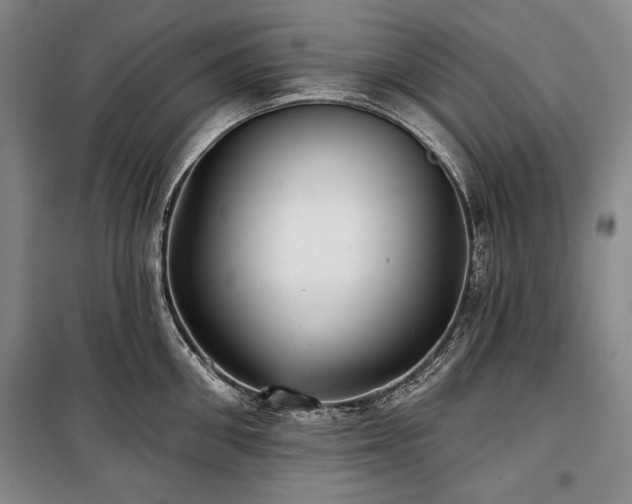 X0000101160906200806271006