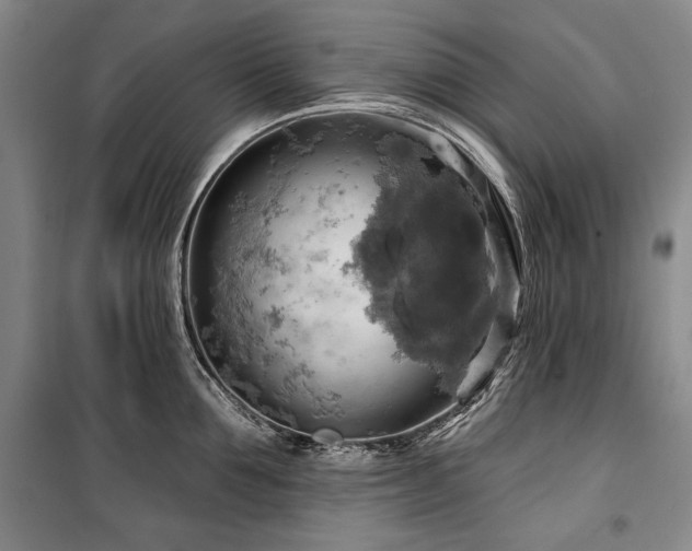X0000101160907200806271006