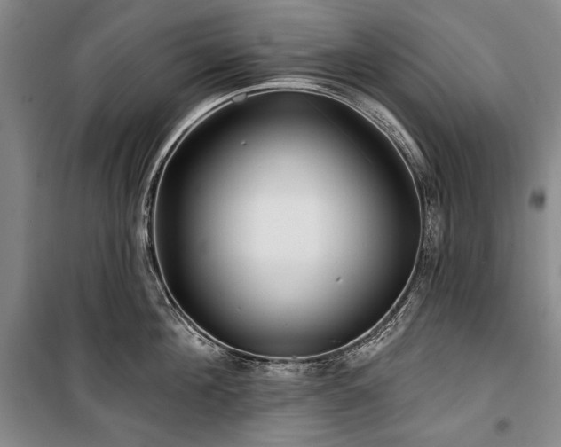 X0000101160908200806271006