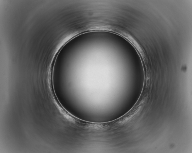 X0000101160909200806271006