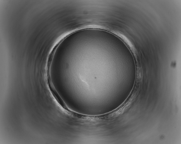 X0000101160910200806271006