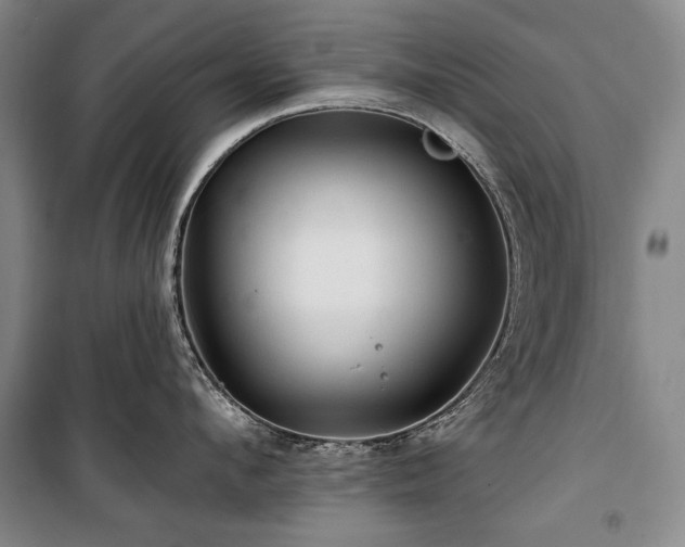 X0000101160912200806271006