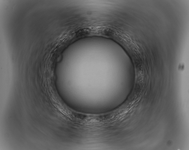 X0000101160913200806271005