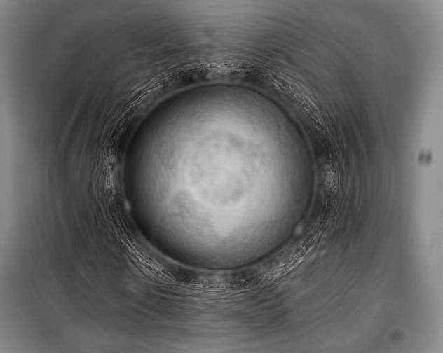 X0000101160914200806271005