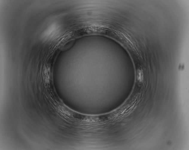 X0000101160915200806271005