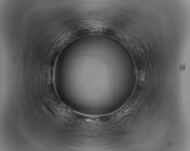 X0000101160916200806271005