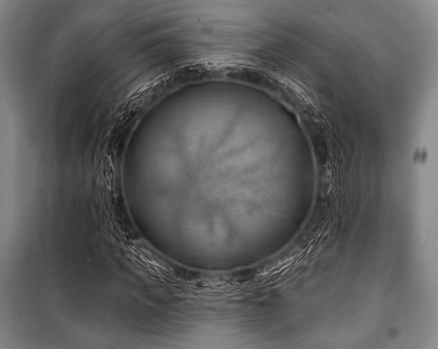 X0000101160917200806271005