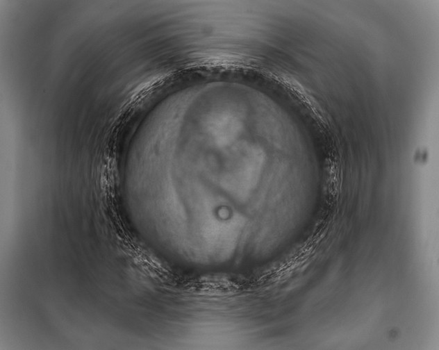 X0000101160918200806271005