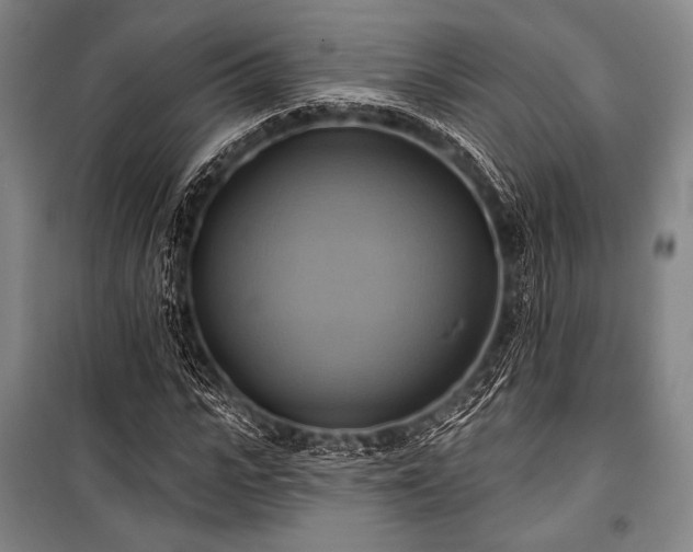X0000101160919200806271005