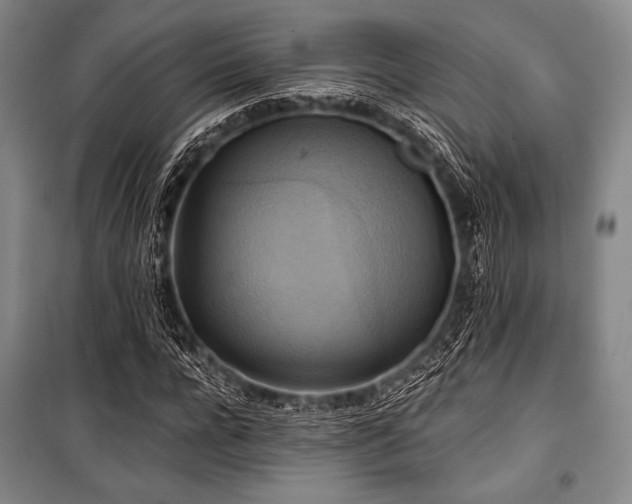 X0000101160920200806271005