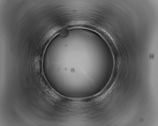 X0000101160921200806271006