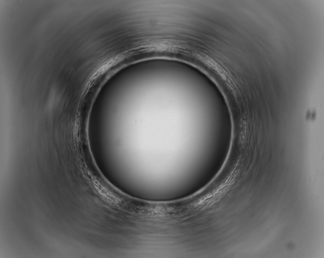 X0000101160922200806271006