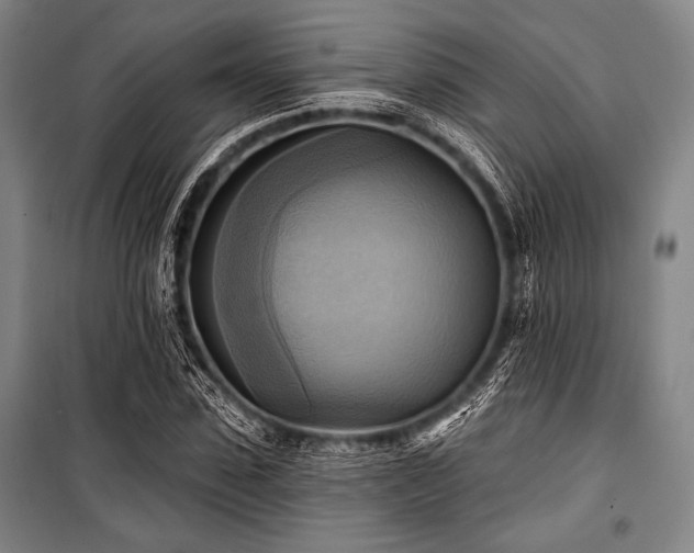 X0000101160923200806271006