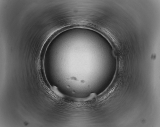 X0000101160924200806271006