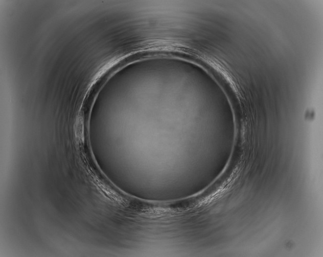 X0000101160925200806271006