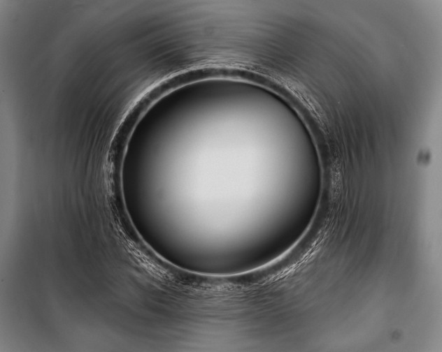 X0000101160926200806271006