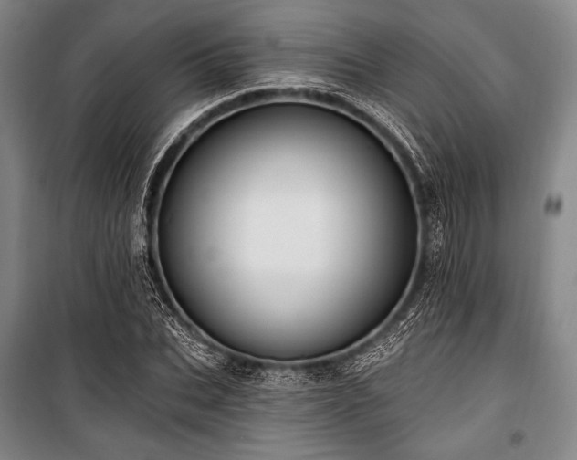 X0000101160927200806271006