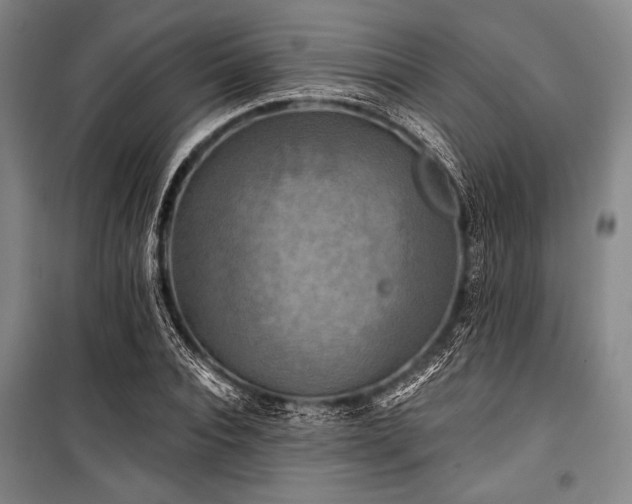 X0000101160928200806271006