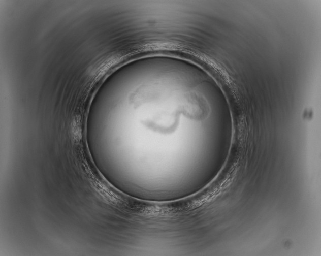 X0000101160929200806271006