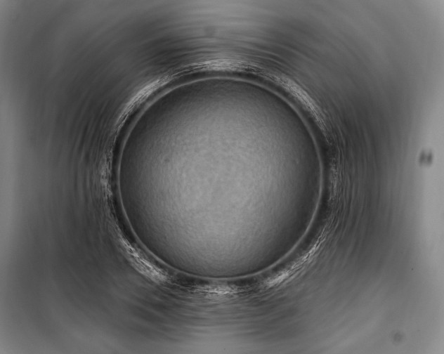 X0000101160930200806271006