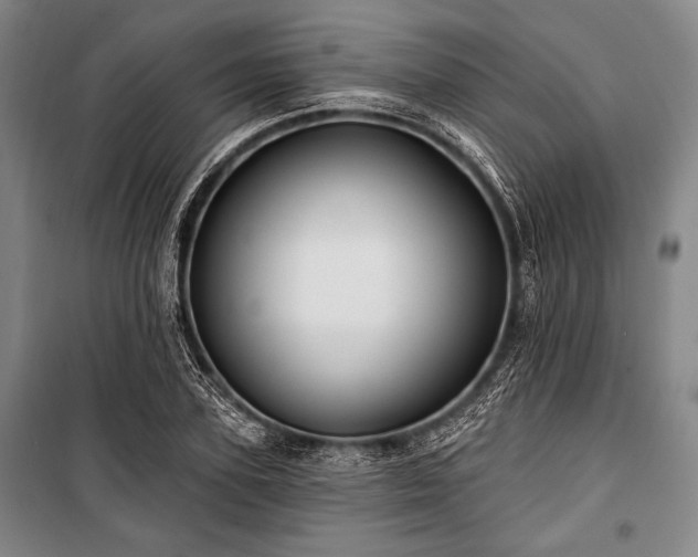 X0000101160931200806271006