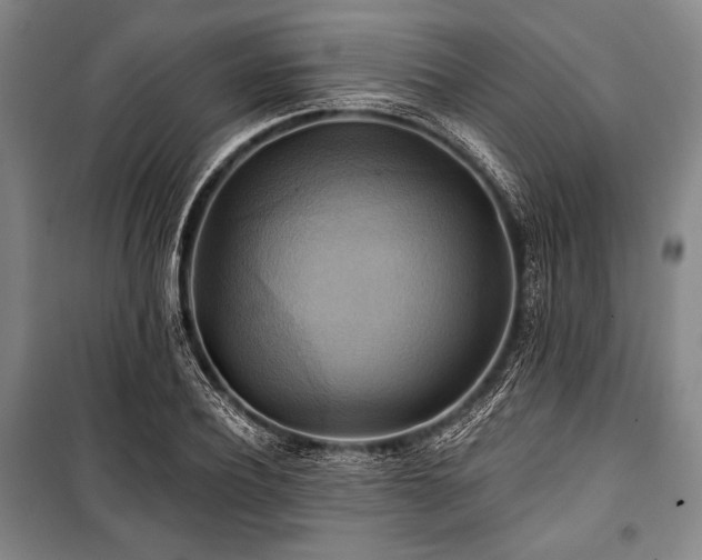 X0000101160932200806271006