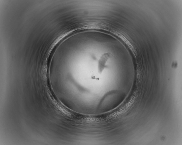 X0000101160933200806271006