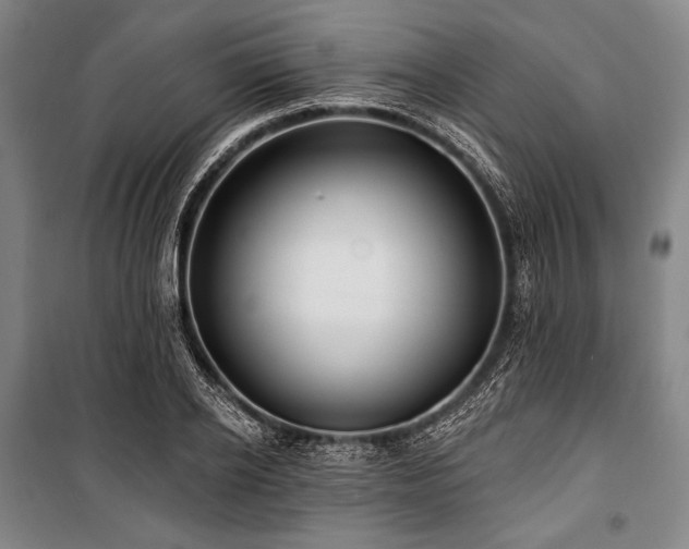X0000101160934200806271006